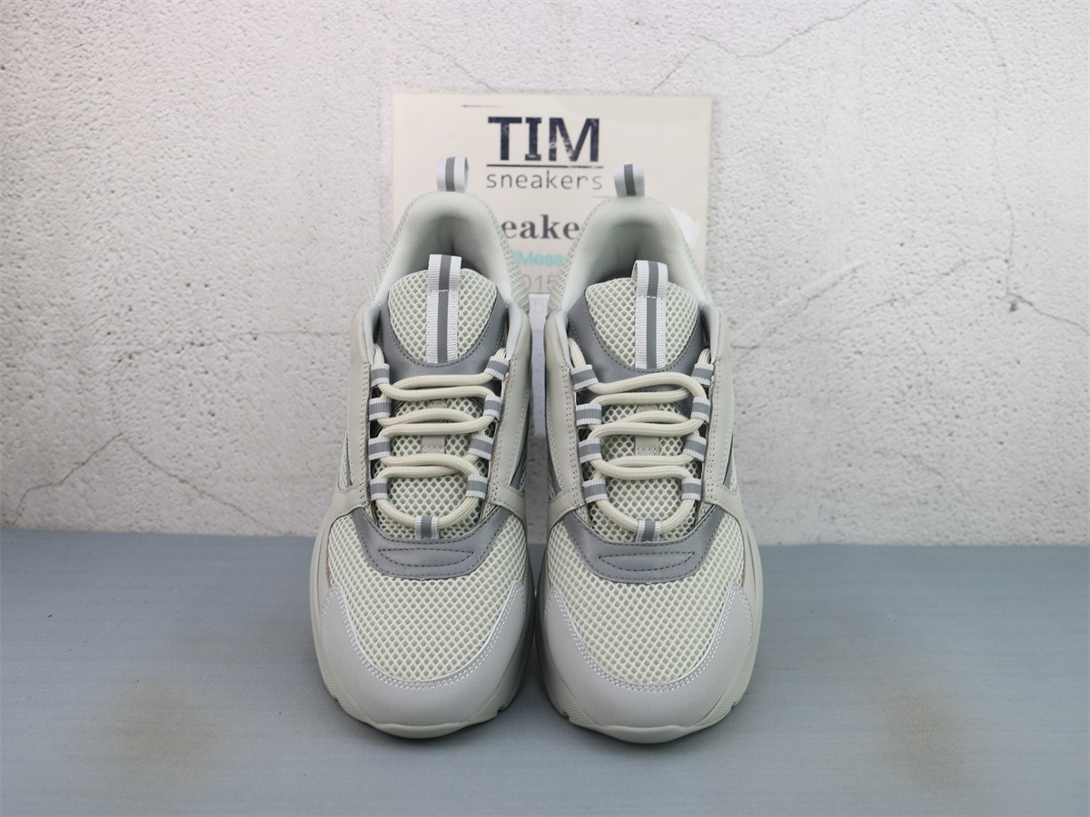 Dior B22 Triple Grey
